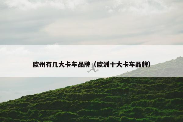 欧州有几大卡车品牌（欧洲十大卡车品牌）