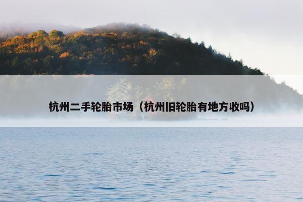 杭州二手轮胎市场（杭州旧轮胎有地方收吗）