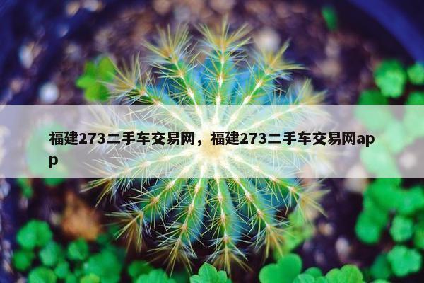 福建273二手车交易网，福建273二手车交易网app