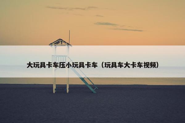 大玩具卡车压小玩具卡车（玩具车大卡车视频）
