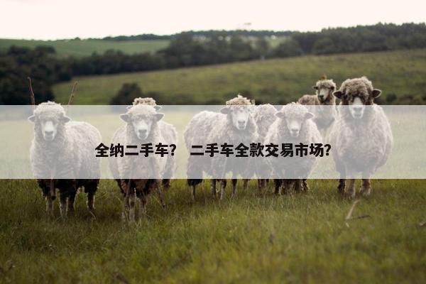 全纳二手车？ 二手车全款交易市场？