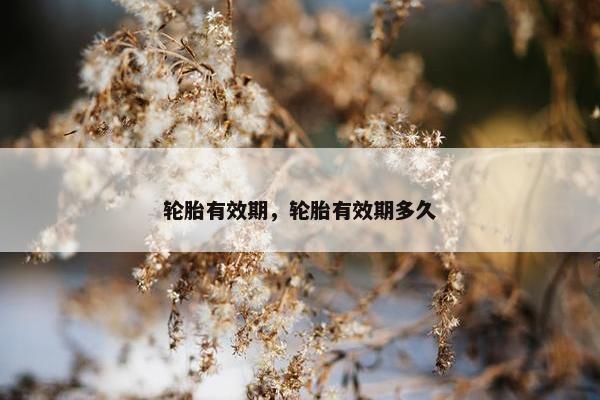 轮胎有效期，轮胎有效期多久