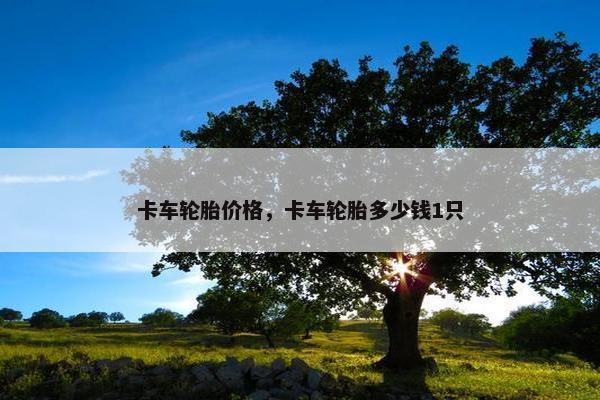 卡车轮胎价格，卡车轮胎多少钱1只