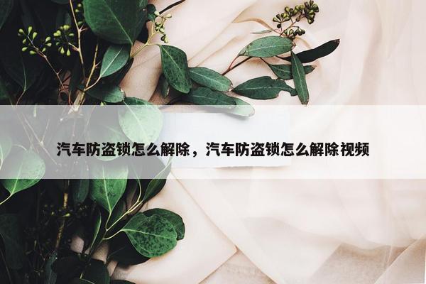 汽车防盗锁怎么解除，汽车防盗锁怎么解除视频