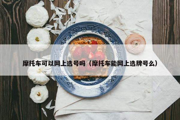 摩托车可以网上选号吗（摩托车能网上选牌号么）