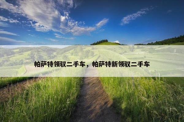 帕萨特领驭二手车，帕萨特新领驭二手车