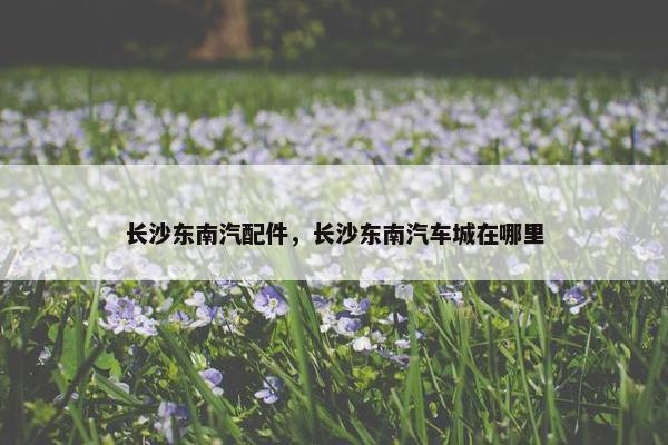 长沙东南汽配件，长沙东南汽车城在哪里