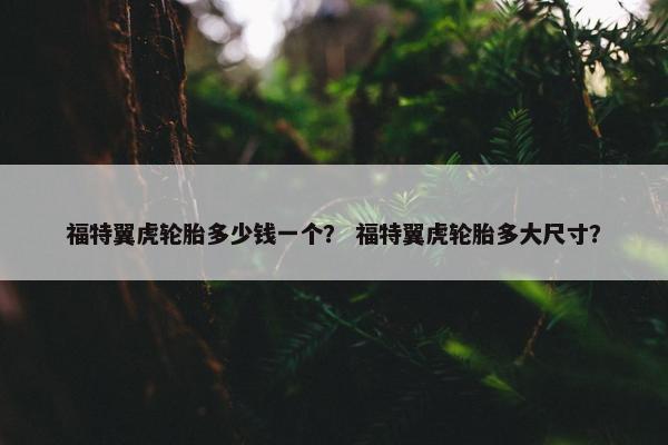 福特翼虎轮胎多少钱一个？ 福特翼虎轮胎多大尺寸？