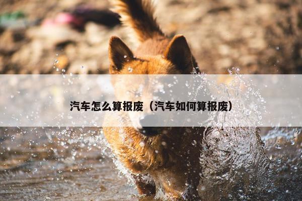 汽车怎么算报废（汽车如何算报废）