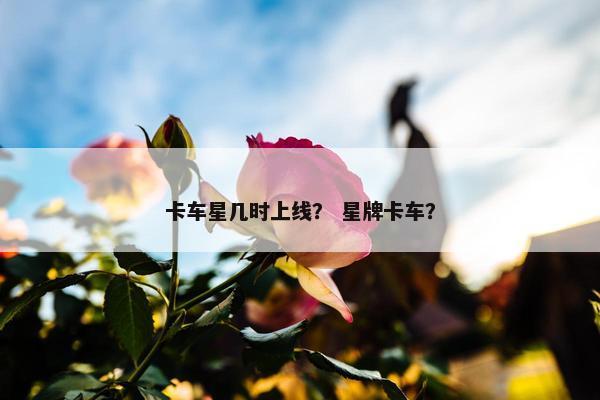 卡车星几时上线？ 星牌卡车？