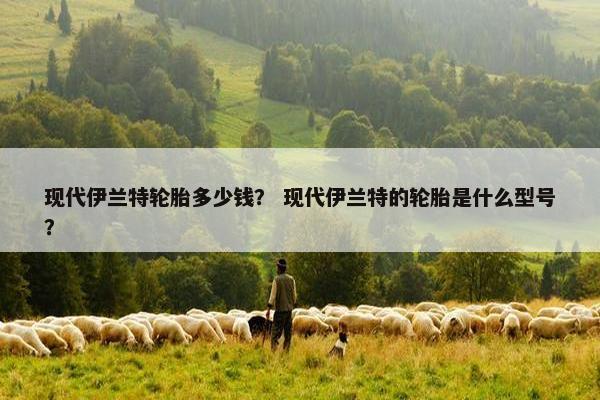 现代伊兰特轮胎多少钱？ 现代伊兰特的轮胎是什么型号？