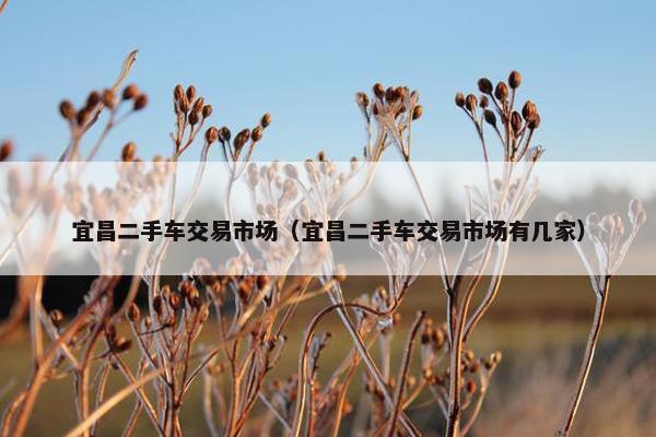 宜昌二手车交易市场（宜昌二手车交易市场有几家）