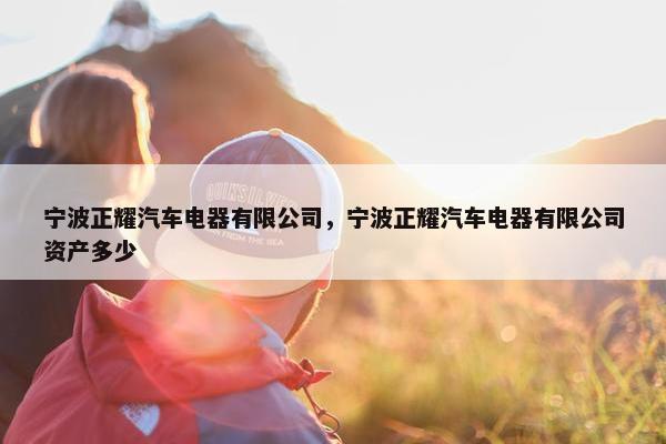 宁波正耀汽车电器有限公司，宁波正耀汽车电器有限公司资产多少