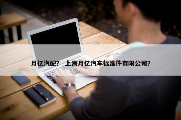 月亿汽配？ 上海月亿汽车标准件有限公司？