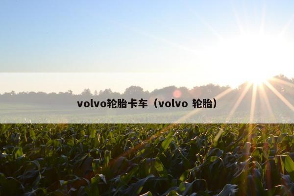 volvo轮胎卡车（volvo 轮胎）