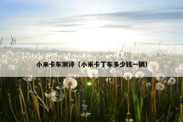 小米卡车测评（小米卡丁车多少钱一辆）