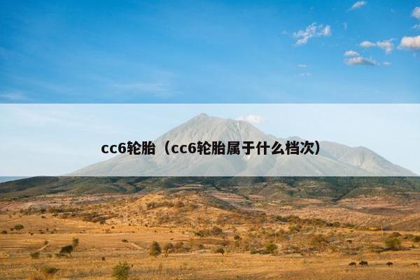 cc6轮胎（cc6轮胎属于什么档次）