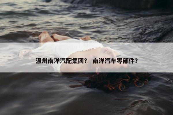 温州南洋汽配集团？ 南洋汽车零部件？