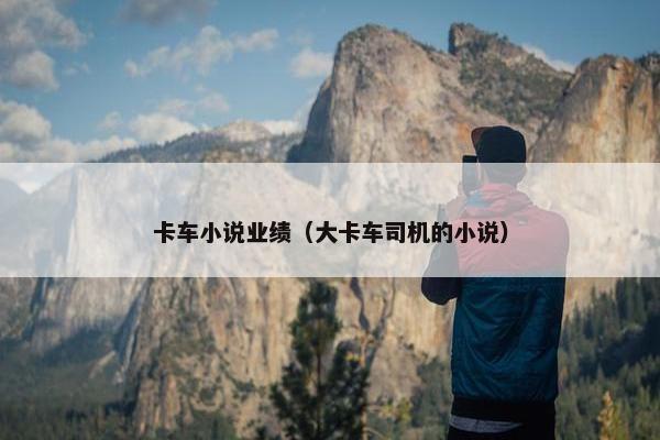 卡车小说业绩（大卡车司机的小说）