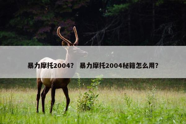 暴力摩托2004？ 暴力摩托2004秘籍怎么用？