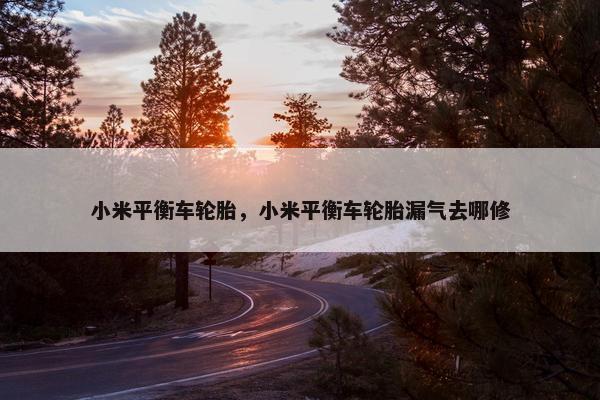 小米平衡车轮胎，小米平衡车轮胎漏气去哪修