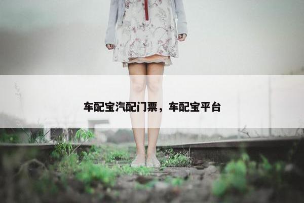 车配宝汽配门票，车配宝平台
