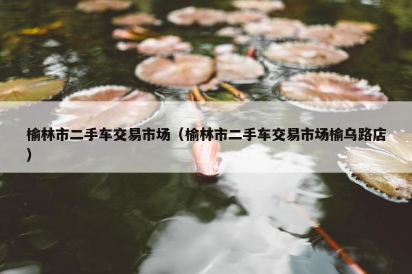榆林市二手车交易市场（榆林市二手车交易市场榆乌路店）