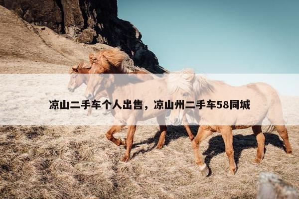 凉山二手车个人出售，凉山州二手车58同城