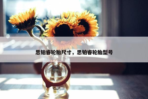 思铂睿轮胎尺寸，思铂睿轮胎型号