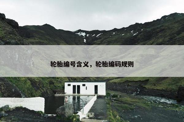 轮胎编号含义，轮胎编码规则