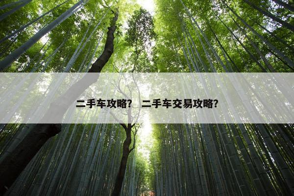 二手车攻略？ 二手车交易攻略？