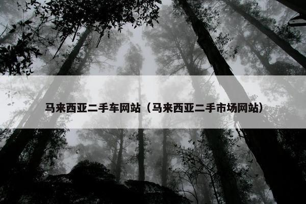 马来西亚二手车网站（马来西亚二手市场网站）
