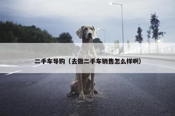 二手车导购（去做二手车销售怎么样啊）