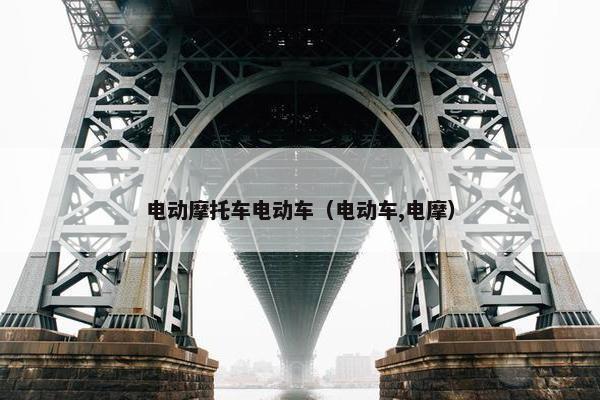 电动摩托车电动车（电动车,电摩）