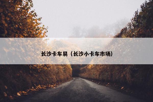 长沙卡车易（长沙小卡车市场）