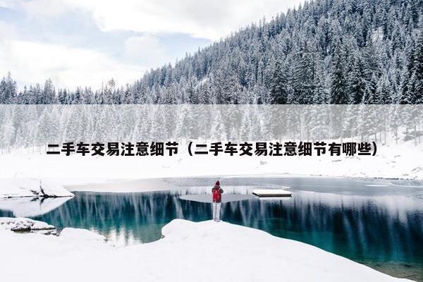 二手车交易注意细节（二手车交易注意细节有哪些）