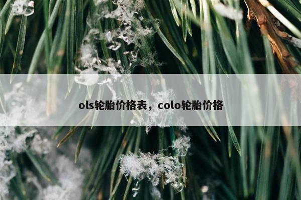ols轮胎价格表，colo轮胎价格