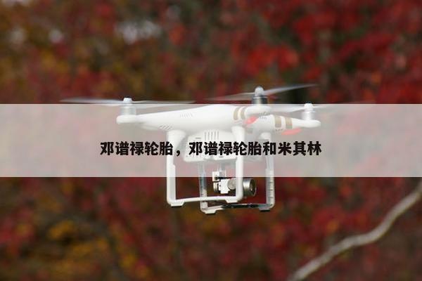 邓谱禄轮胎，邓谱禄轮胎和米其林
