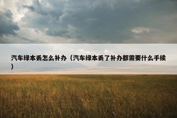 汽车绿本丢怎么补办（汽车绿本丢了补办都需要什么手续）