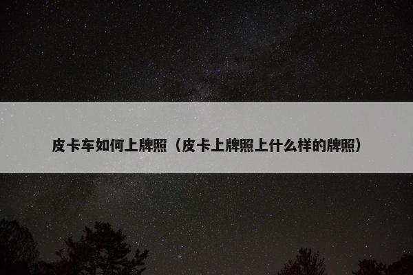 皮卡车如何上牌照（皮卡上牌照上什么样的牌照）