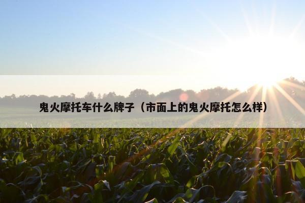 鬼火摩托车什么牌子（市面上的鬼火摩托怎么样）