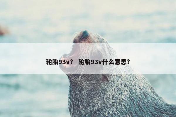 轮胎93v？ 轮胎93v什么意思？