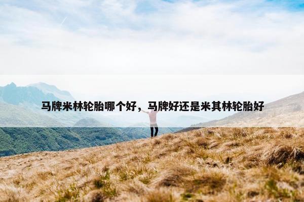 马牌米林轮胎哪个好，马牌好还是米其林轮胎好