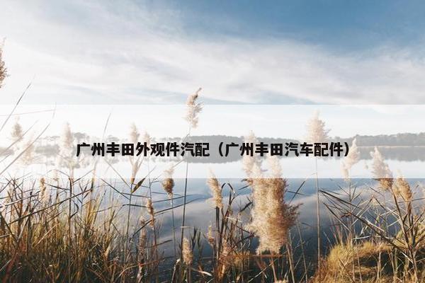 广州丰田外观件汽配（广州丰田汽车配件）
