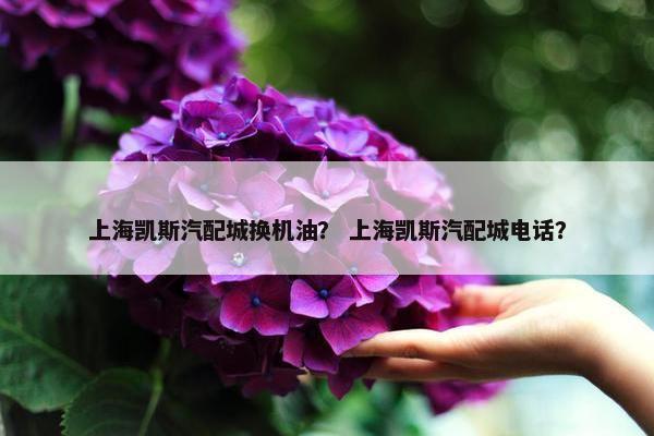 上海凯斯汽配城换机油？ 上海凯斯汽配城电话？