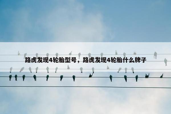 路虎发现4轮胎型号，路虎发现4轮胎什么牌子
