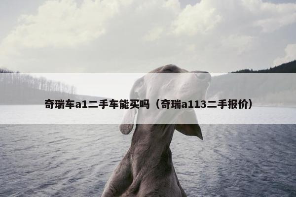 奇瑞车a1二手车能买吗（奇瑞a113二手报价）