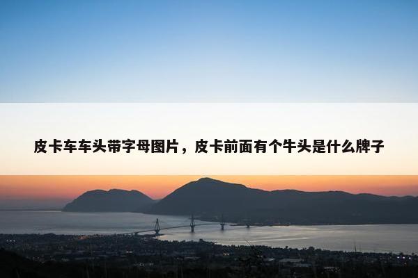 皮卡车车头带字母图片，皮卡前面有个牛头是什么牌子
