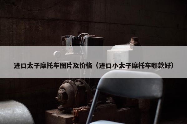 进口太子摩托车图片及价格（进口小太子摩托车哪款好）