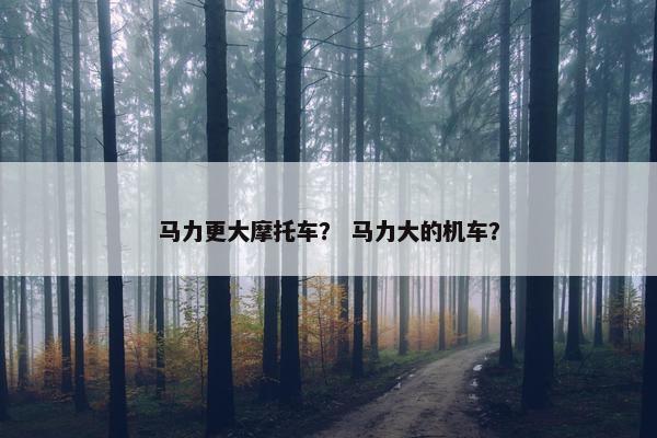 马力更大摩托车？ 马力大的机车？